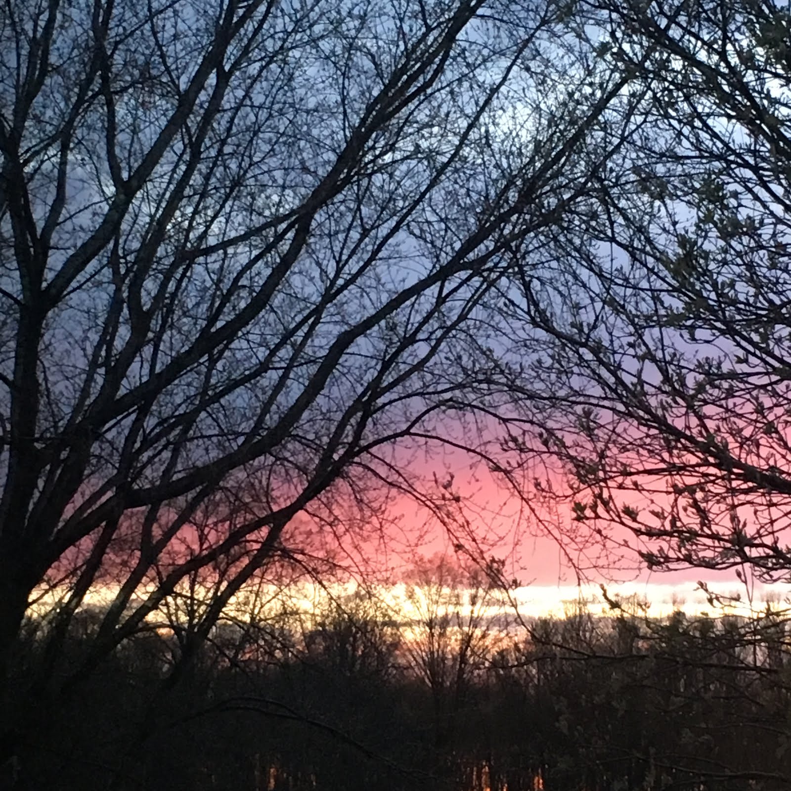 Define Style An Ever Changing Mural Photography