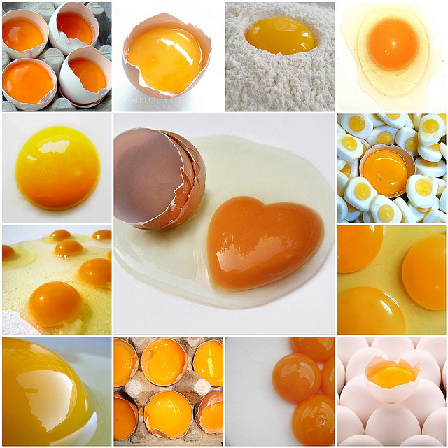 Top 10 Nutrition MythsThe Again