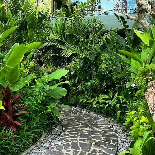 Taman Tropis Gaya Bali | TUKANG TAMAN JAKARTA | ALAM MADYA LANDSCAPE