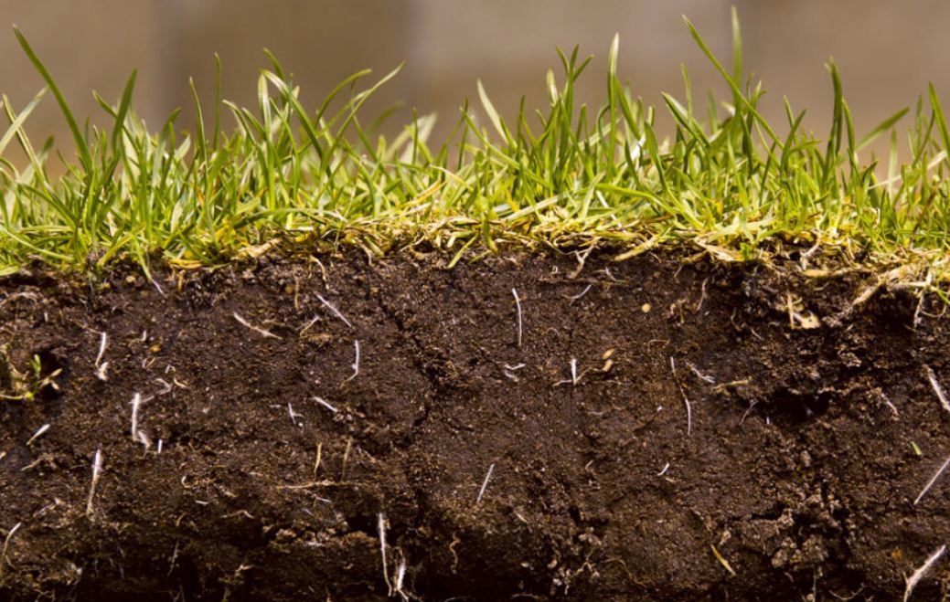 6 Faktor Pembentuk Tanah Lengkap Terlengkap