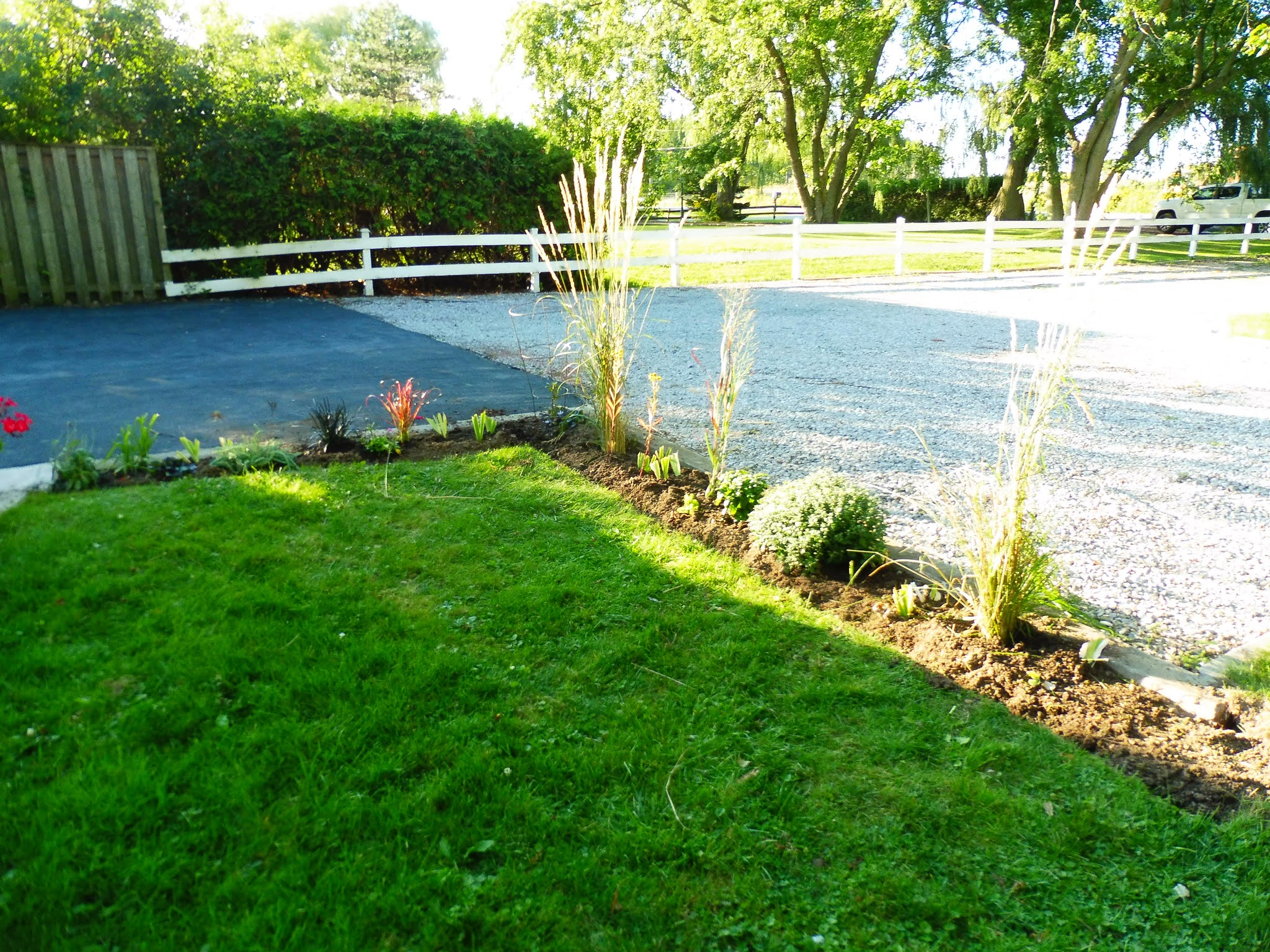 vicarious travelling: Planting the new patio