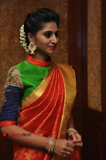 Actress Model Shamili (Varshini Sounderajan) Stills in Beautiful Silk Saree at 'Love For Handloom' Collection Fashion Show  0007