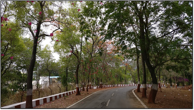 saputara lake