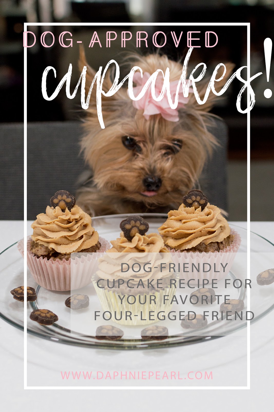 DogApproved Cupcakes for Cupcake's Birthday! Daphnie Pearl