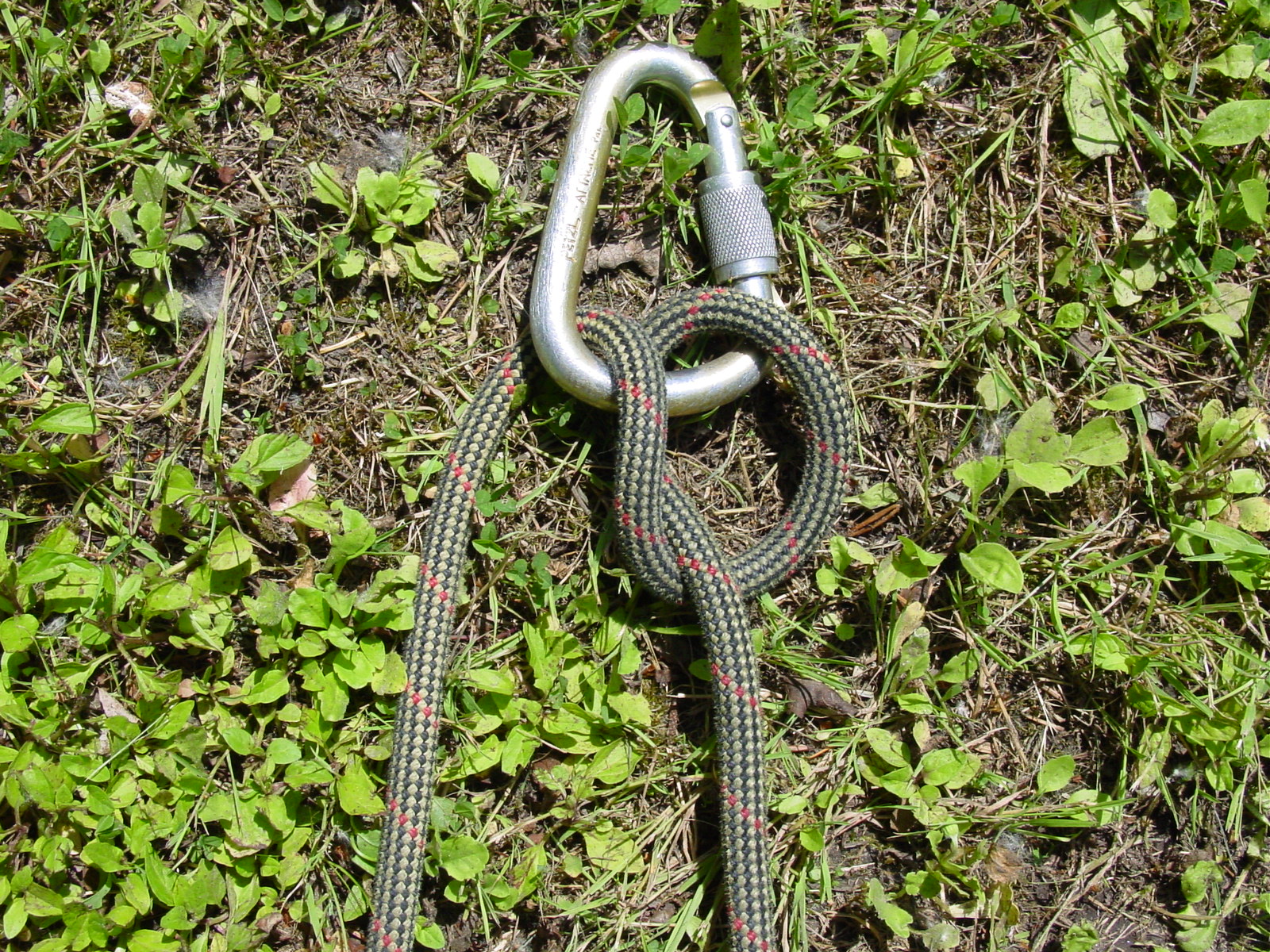 American Alpine Institute Climbing Blog Quick Belay Techniques