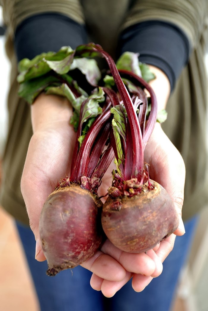 Bolo de beterraba e chocolate Beetroot and chocolate cake