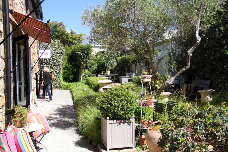 Under our own olive tree When in Cape Town.. The Chelsea Courtyard