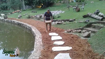 Bizzarri fazendo a execução do caminho de pedra em volta do lago com junta de grama sendo a pedra cacão de São Tomé. 27 de fevereiro de 2017.