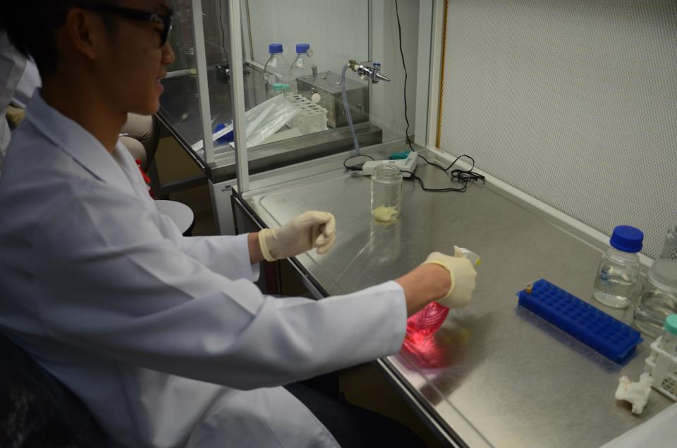 Plant Tissue Culture Diary Introduction To Plant Tissue Culture Plant Tissue Culture Diary Introduction To Plant Tissue Culture