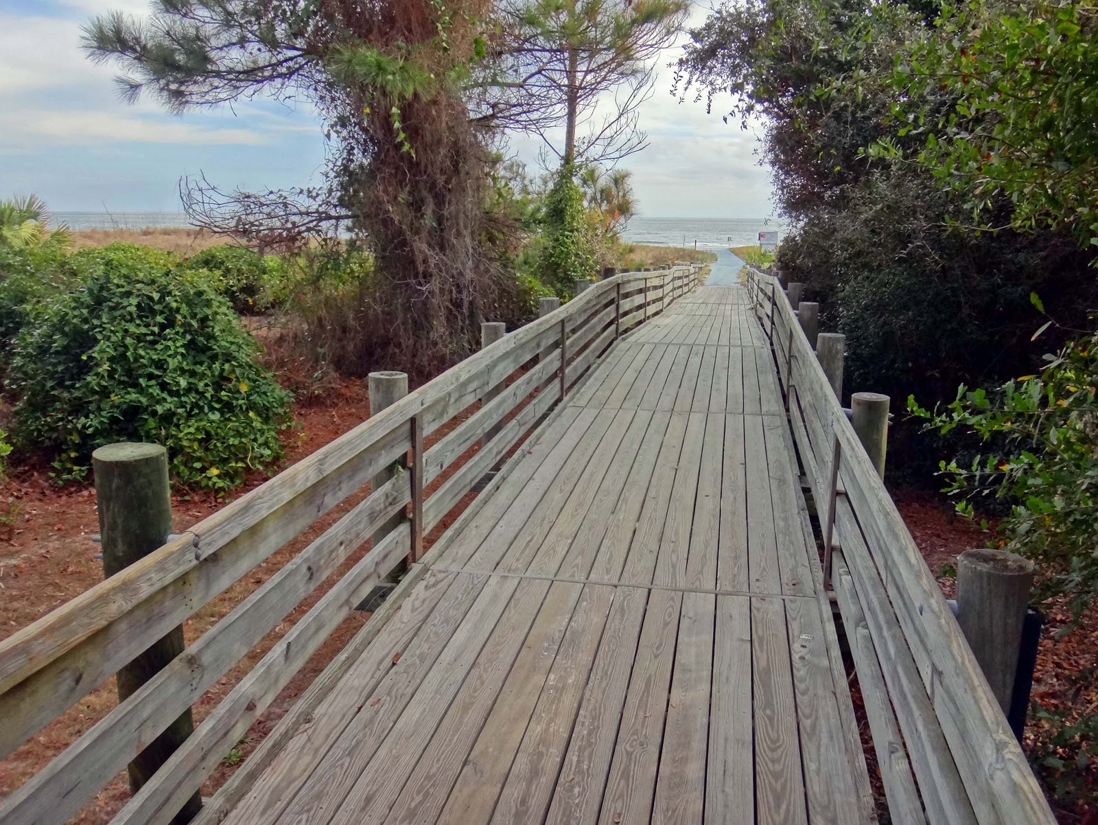 Joe's Retirement Blog Beach Walk, Hilton Head Island, South Carolina, USA