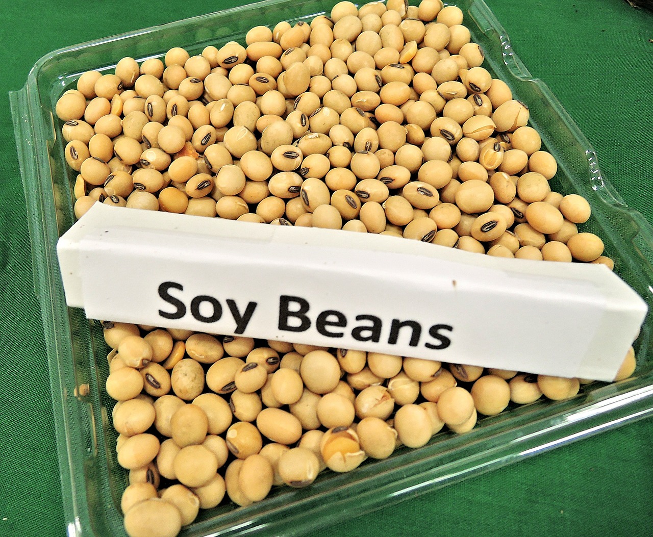 The Wondrous Benefits of Soy Protein