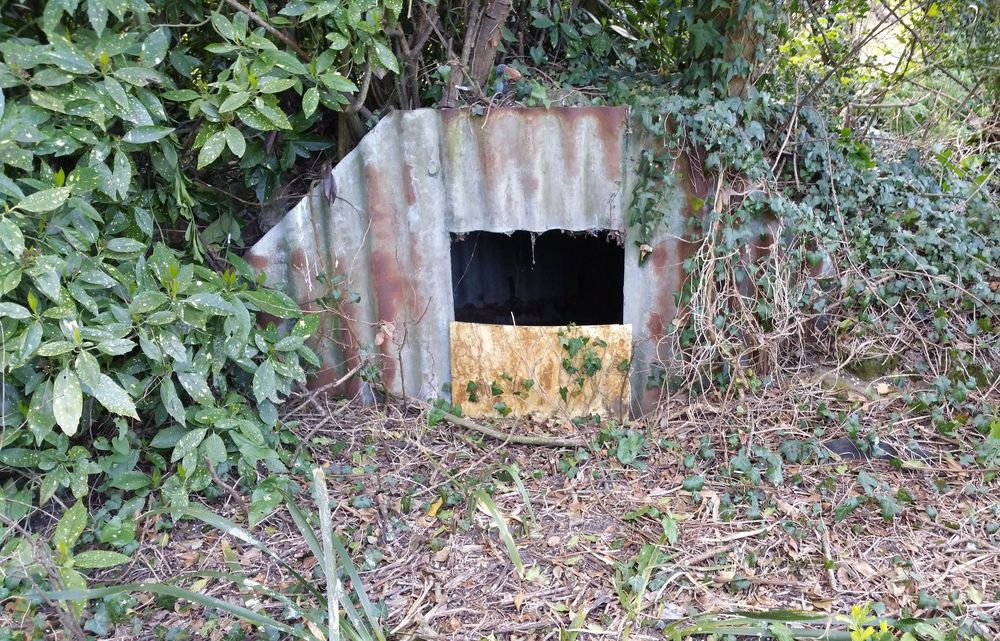 Anderson shelter