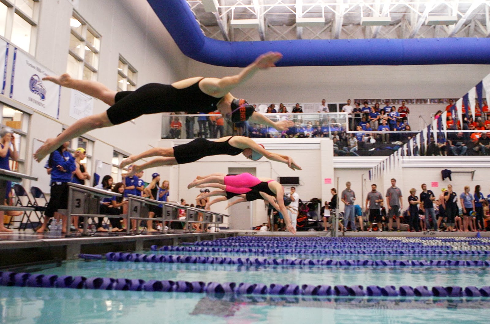 Mark Kodiak Ukena IHSA Sectionals Girls Swimming