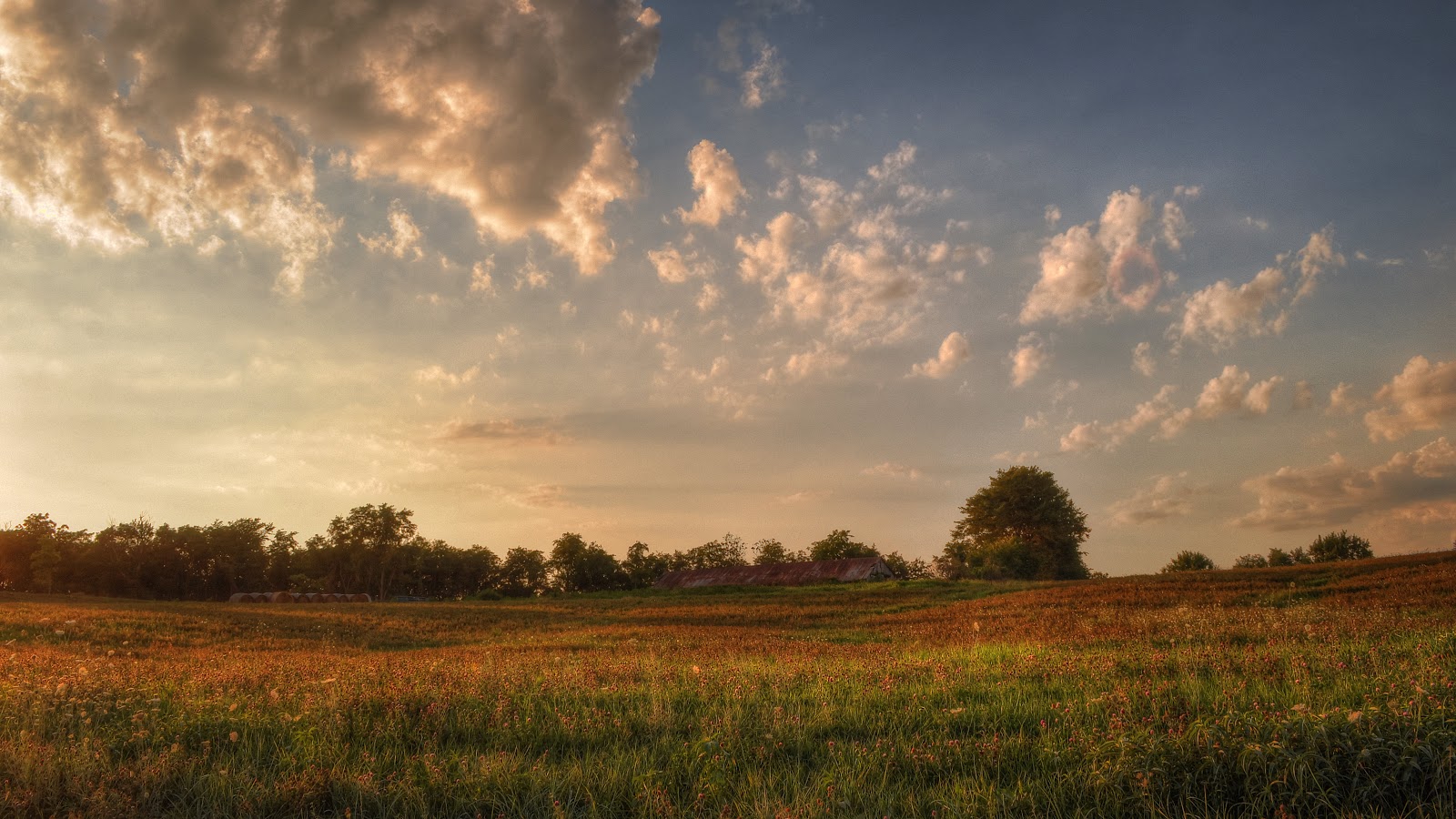 Golden Field - HDR | Time To Take Pictures - Travel and Landscape ...