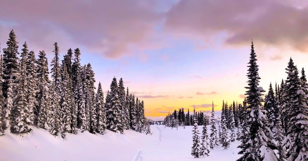 19 Incredible Washington Winter Hikes (East And West WA) The Mandagies