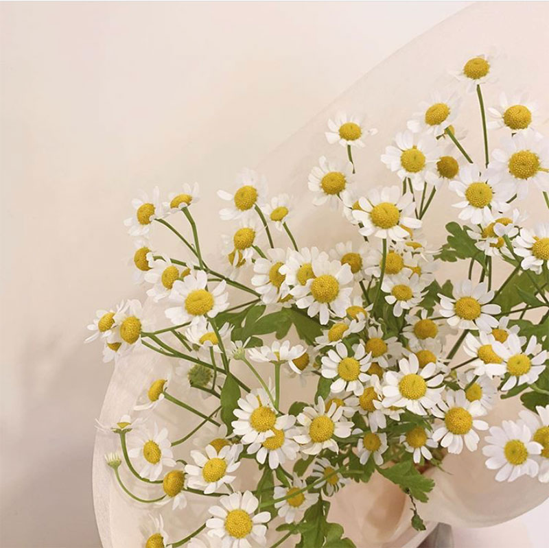 Late-Spring Inspiration | Coming Up Daisies