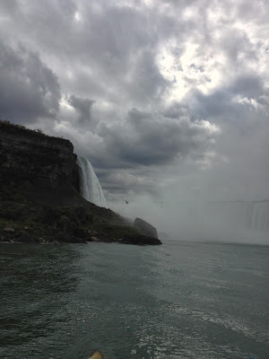 Southern edge of Horseshoe Falls. That black spot is a large bird.