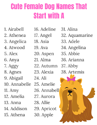 Cute Female Dog Names That Start with A