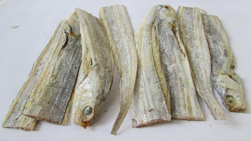 Contoh Ikan Beledang