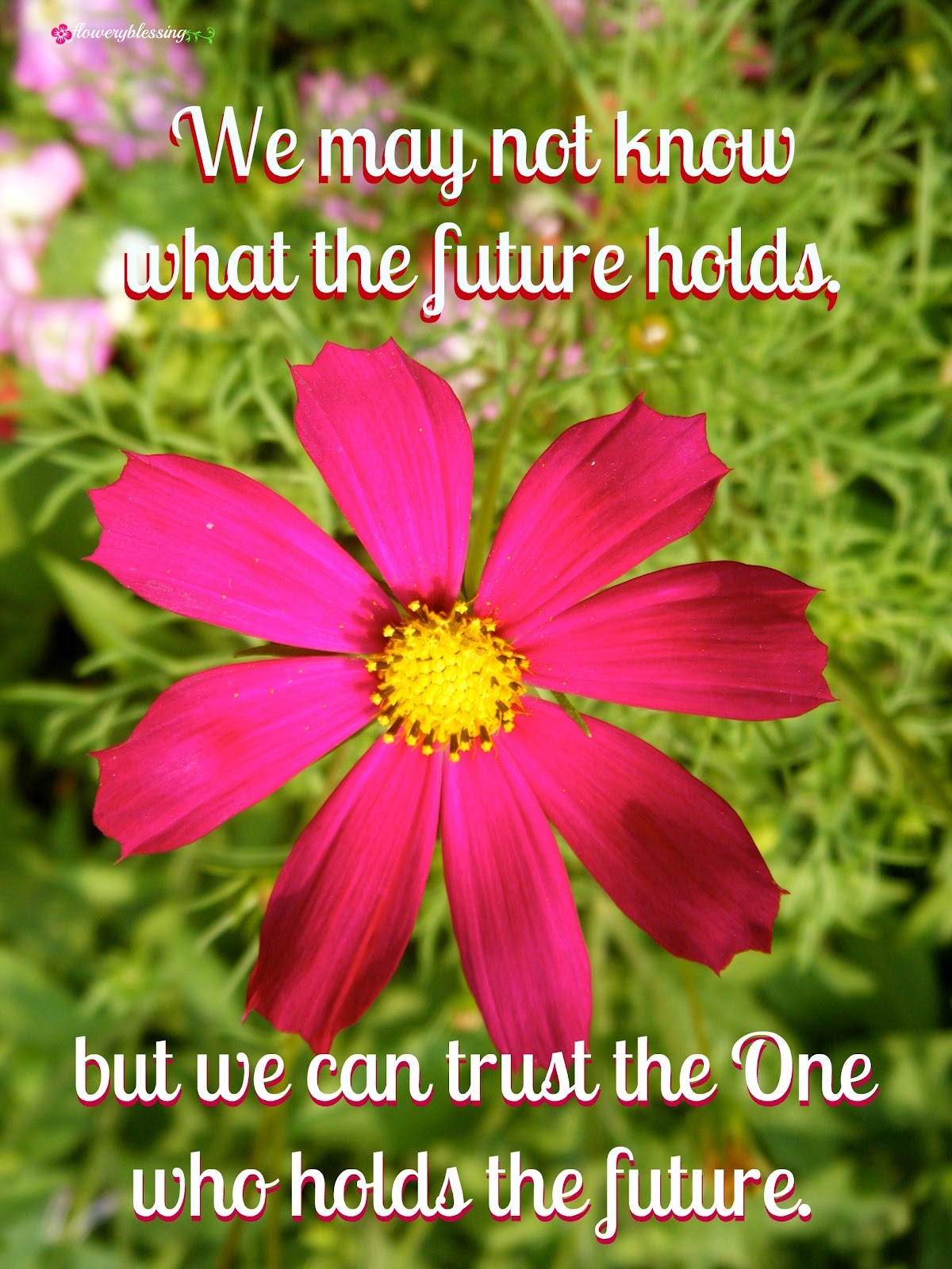 flowery-blessing-we-may-not-know-what-the-future-holds-but-we-can