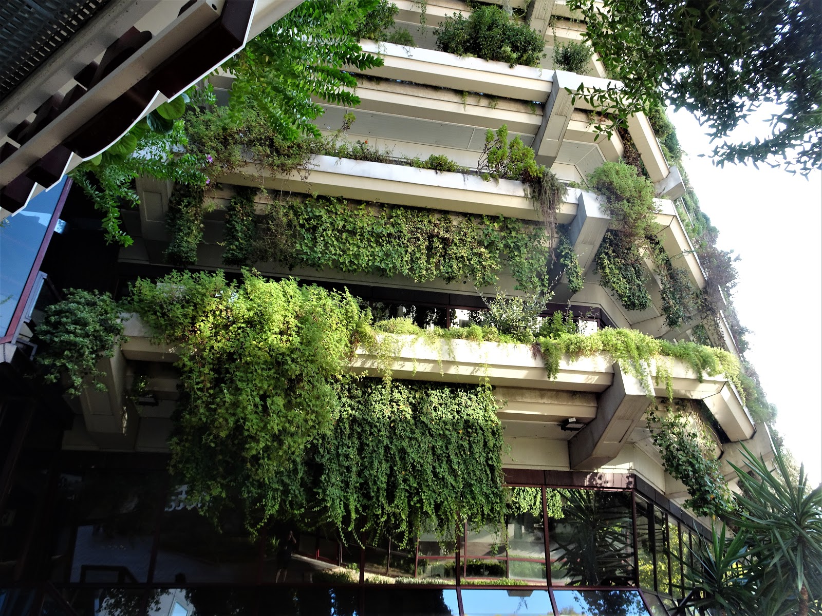 Redescubriendo Barcelona y más allá 27/09/2019 Edifici Banca Catalana