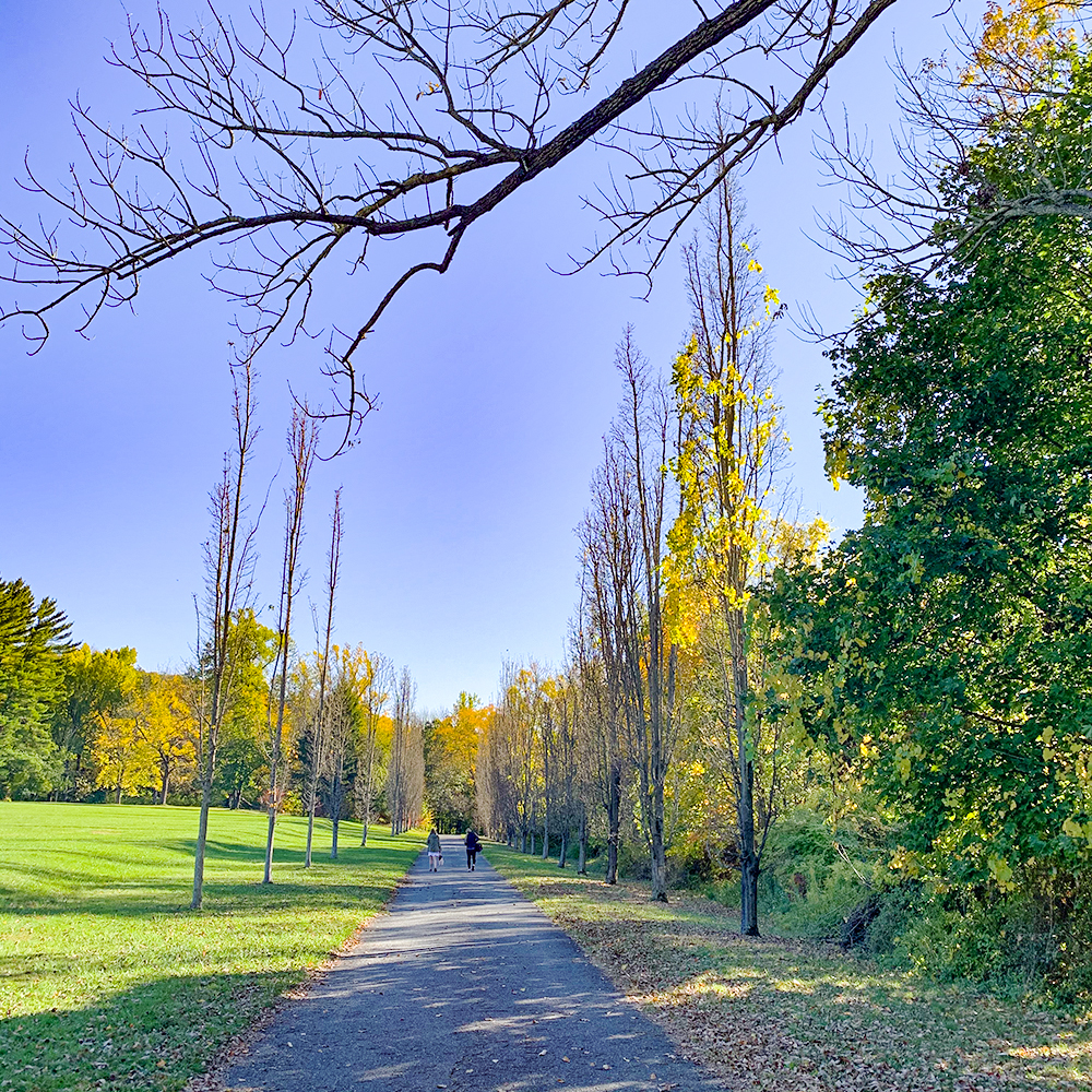 Things to do in New Jersey Botanical Garden in Ringwood, NJ Nina Kobi