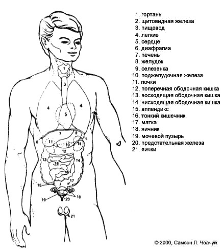 Боли у человека на схеме