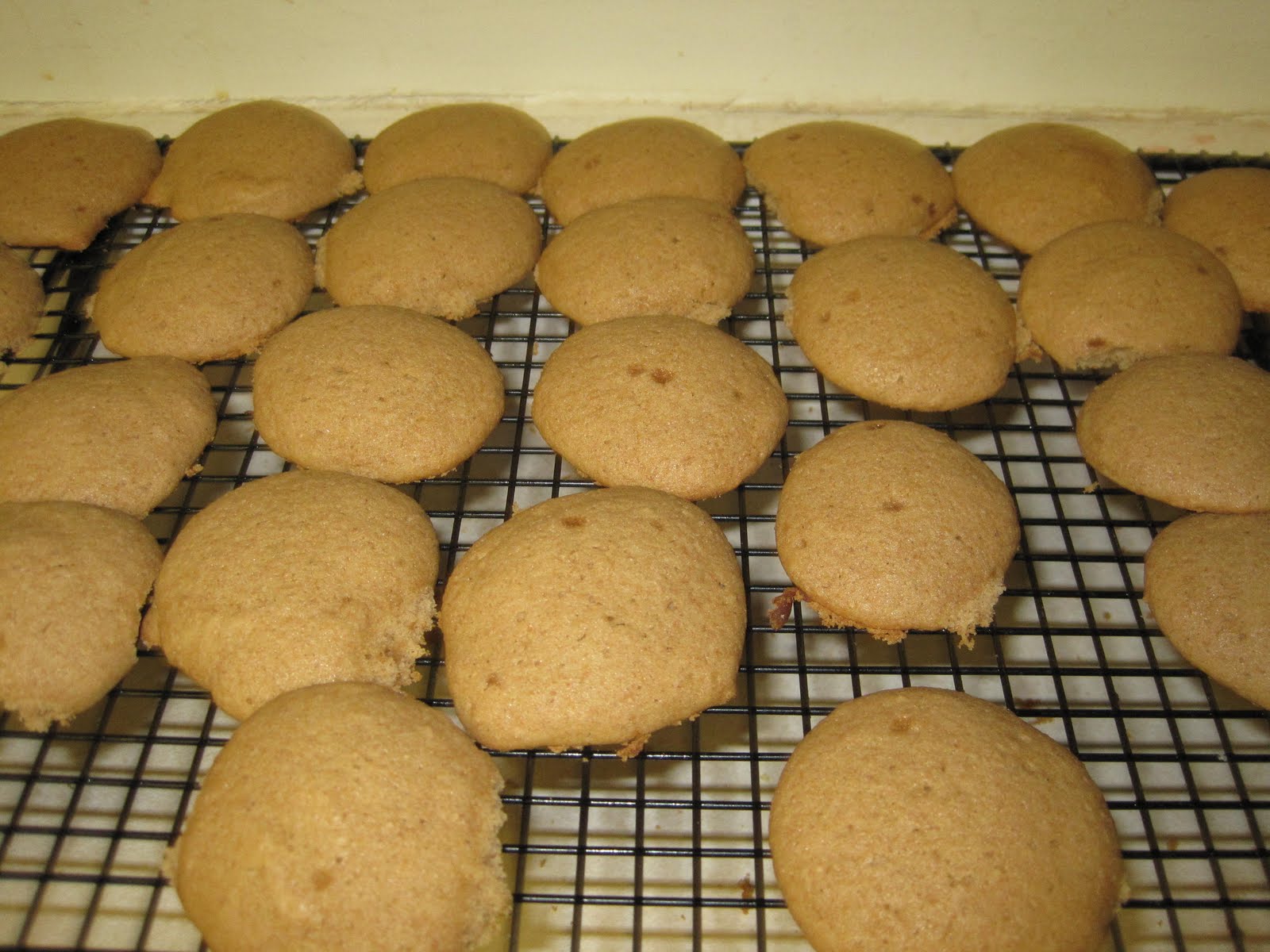 Nay's Yummy Goodness Applesauce Cookies