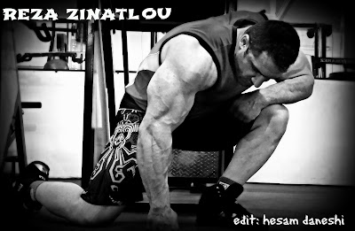 arabe, art martiaux, body, bras, bruns, compétition, entrainement, habillés, Reza Zinatlou, shooting, épaules, 