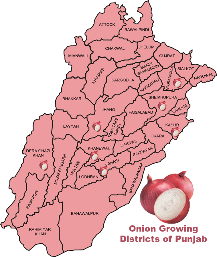 BABAR WORDS Onion Growing Districts of Pakistan by Maps