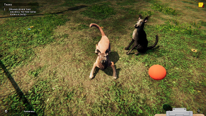 animal-shelter-pc-screenshot-4