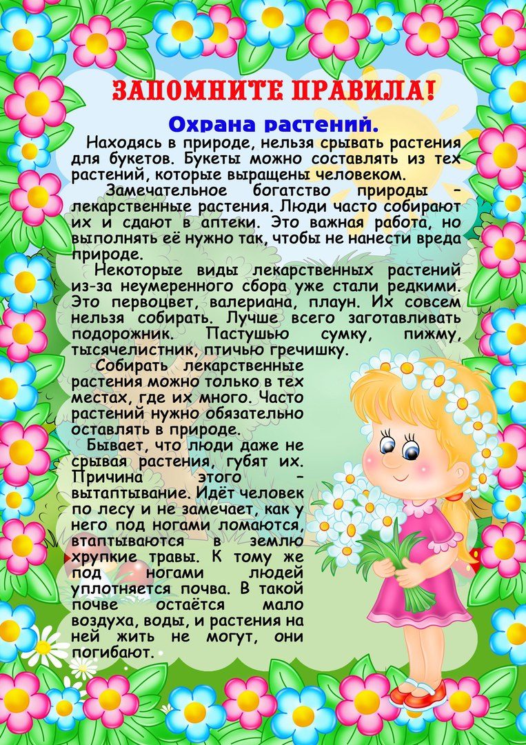 Группа "Ромашка" №3
