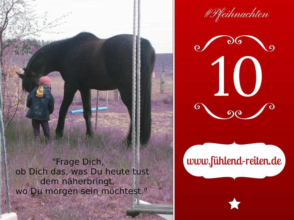 GEWINNSPIEL ADVENTSKALENDER PFERD GEWINNSPIEL ADVENTSKALENDER PFERD
