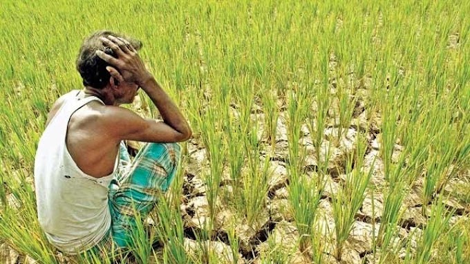 సామజిక పరంగా నేటి రైతుల పరిస్థితి - Raitulu - Present Situation about Bharath farmers