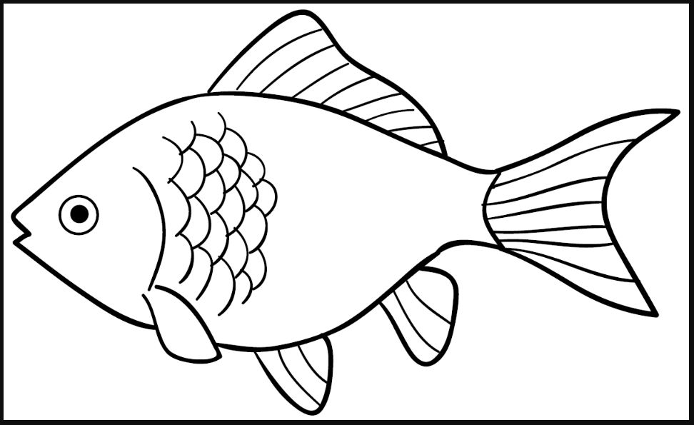 Ikan Sketsa - Homecare24