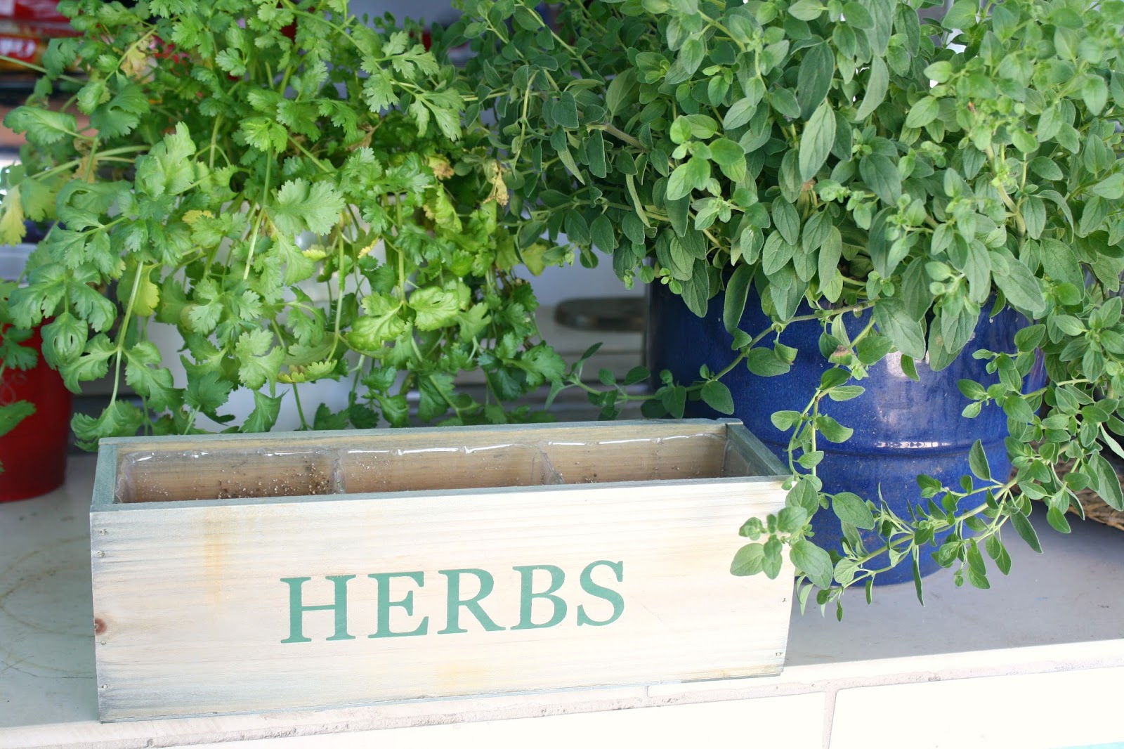 Makerskit Kitchen Herb Garden Mason Jar Diy Hanging Fabfitfun Spring Box