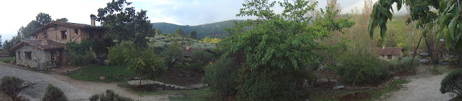 LA LOBERA DE GREDOS 2012