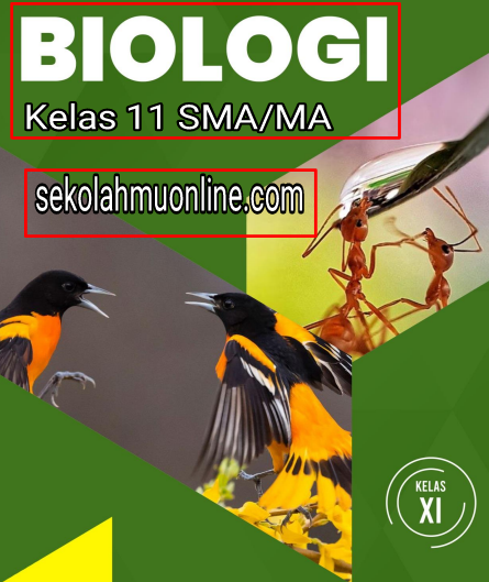 Contoh Soal UKK/PAT Biologi Kelas XI