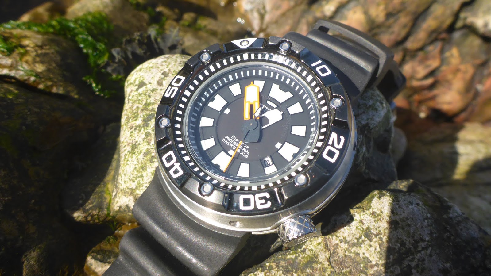 Hardcore Knives and tools for Wilderness Camping: Citizen BN 0176-08E 300m Promaster Dive Watch