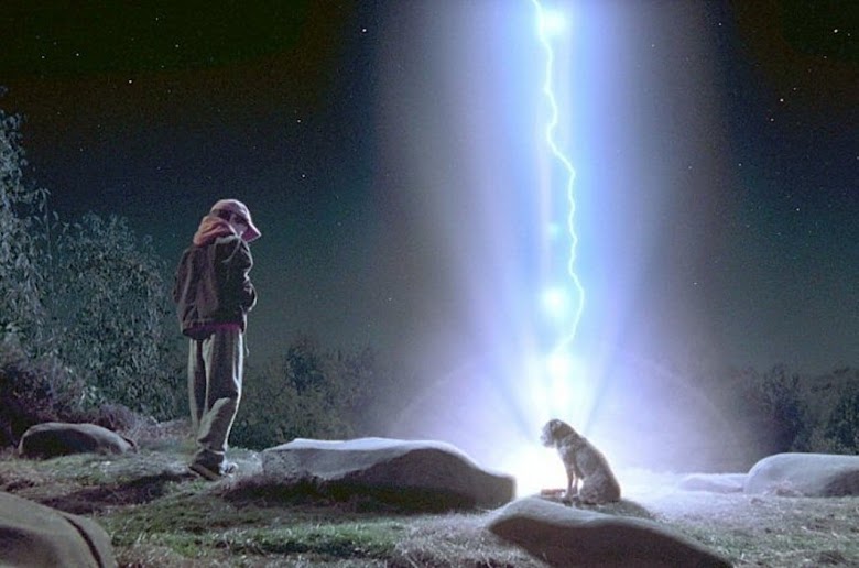 [HD] Un perro de otro mundo 2003 Ver Online Castellano Pelicula Completa