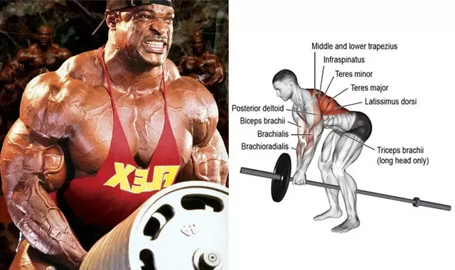 Ronnie Coleman's Best Exercise for Back Muscles