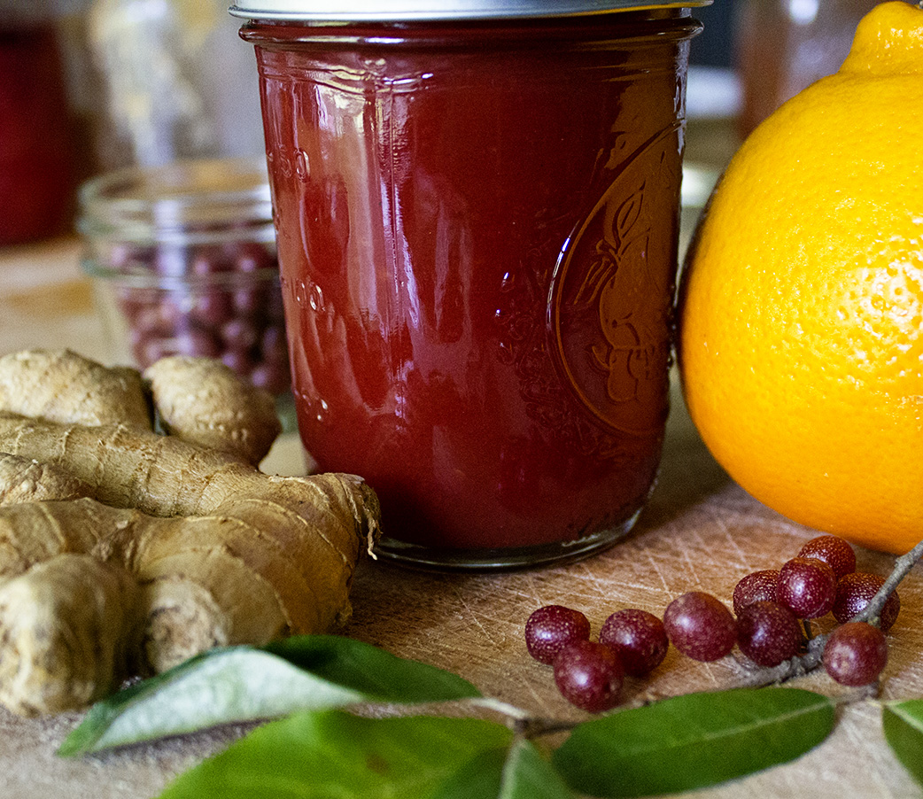 Rurification Robin Edmundson Autumn Olive Ginger Orange Jam