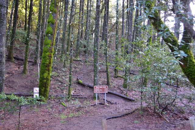 start of the trail