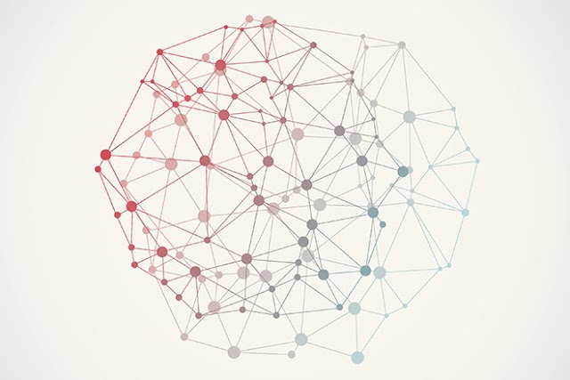 Understanding the Social Media Algorithm