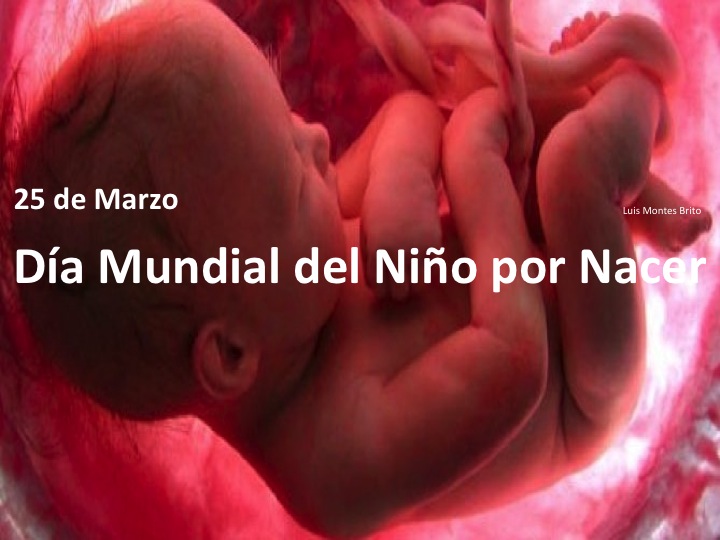 Compartiendo mi opinión: Hoy 25 de marzo se celebra el Día Mundial del Niño  por Nacer