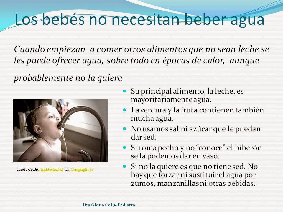 ¿Los bebés necesitan agua? Gloria Colli