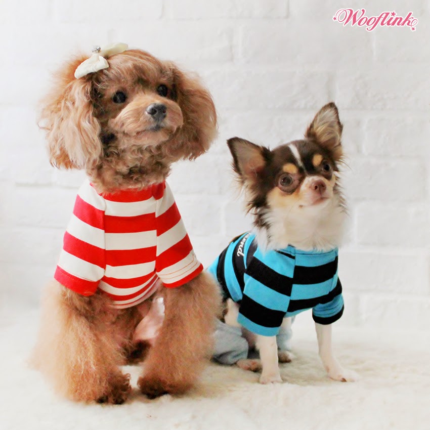 WOOFLINK Hip designer dog clothes BOY FRIEND ♥