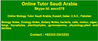 Online Tutor Saudi Arabia - Online Tuition Saudi Arabia