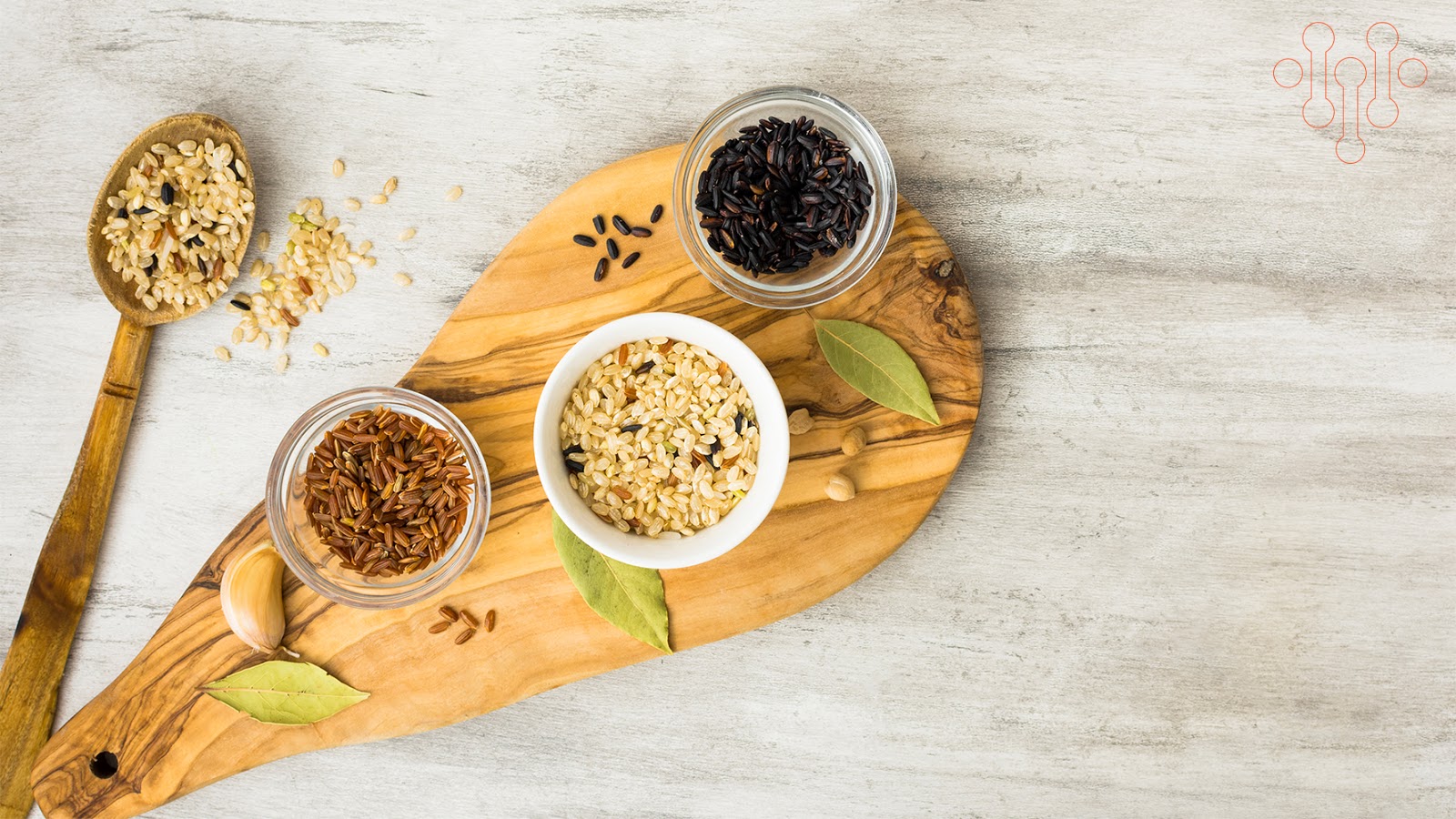 Playpal Change for Better Whole Grains Debunking the Leaky Gut Myth