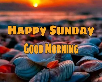 Good Morning Happy Sunday | 25+ Good morning happy Sunday Images Good Morning Happy Sunday | 25+ Good morning happy Sunday Images